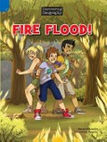 Fire flood! / Shawn DeLoache ; illustrated by Clémentine Bouvier.