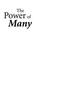 The power of many : building sustainable collective leadership in schools / Patrick Duignan and Helen Cannon.