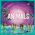 Animals all around us / Melanie Hava.