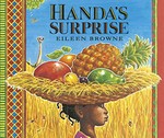 Handa's surprise / Eileen Browne.