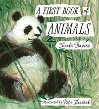 A first book of animals / Nicola Davies ; illustrated by Petr Horáček.